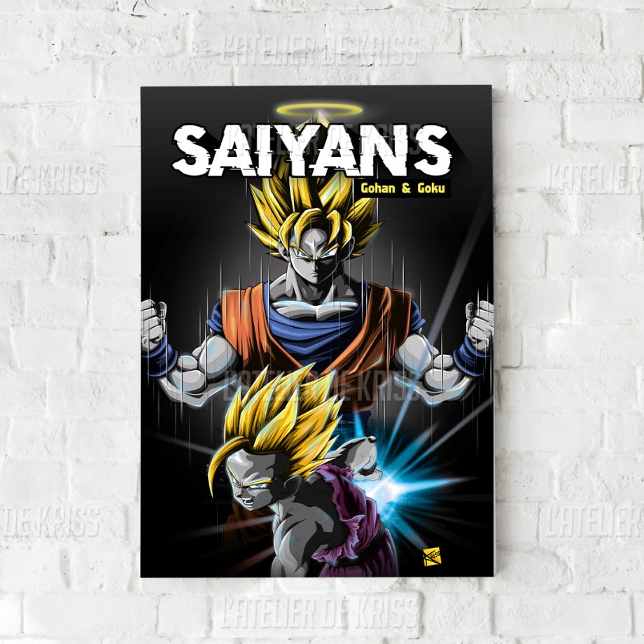 GOHAN_30x40cm [MA]