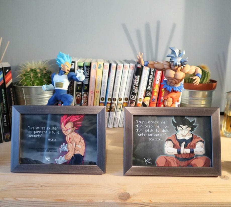 Cadre Photo Citation ! SON GOKU /VEGETA