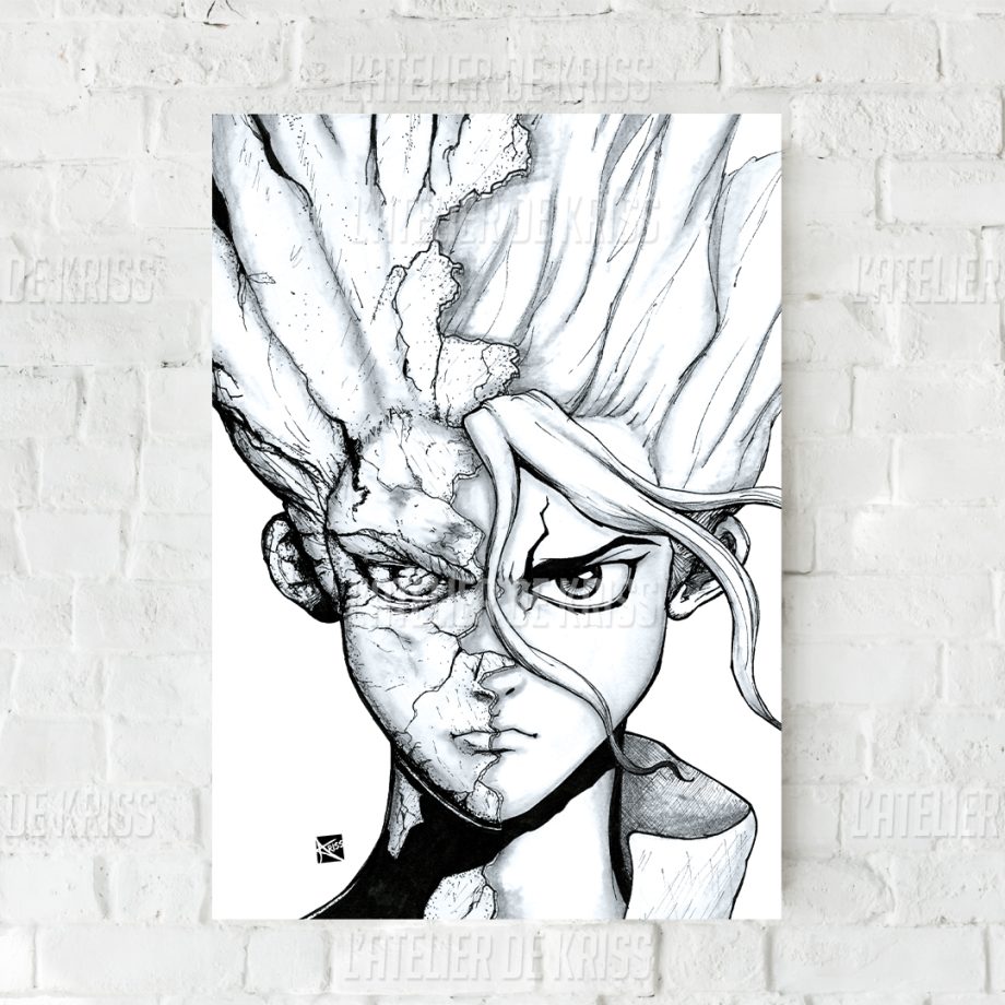 Senku _ trad 21x29,7cm[JPR]